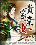 贵家弃女txt百度