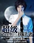 电视剧执法者们
