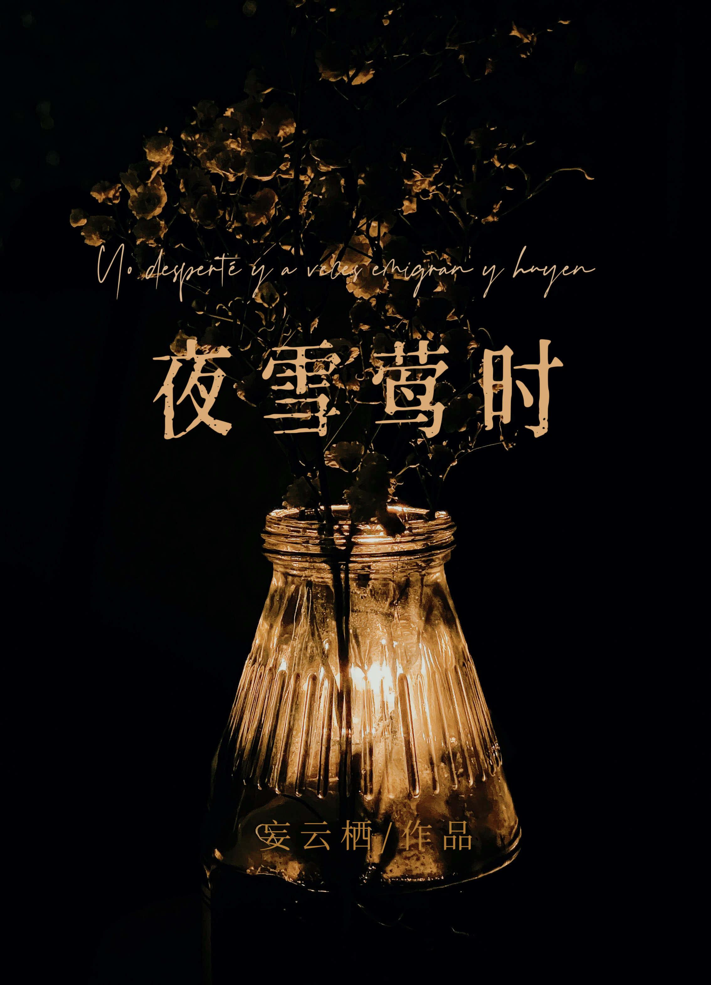 夜雪莺时妄云栖笔趣阁