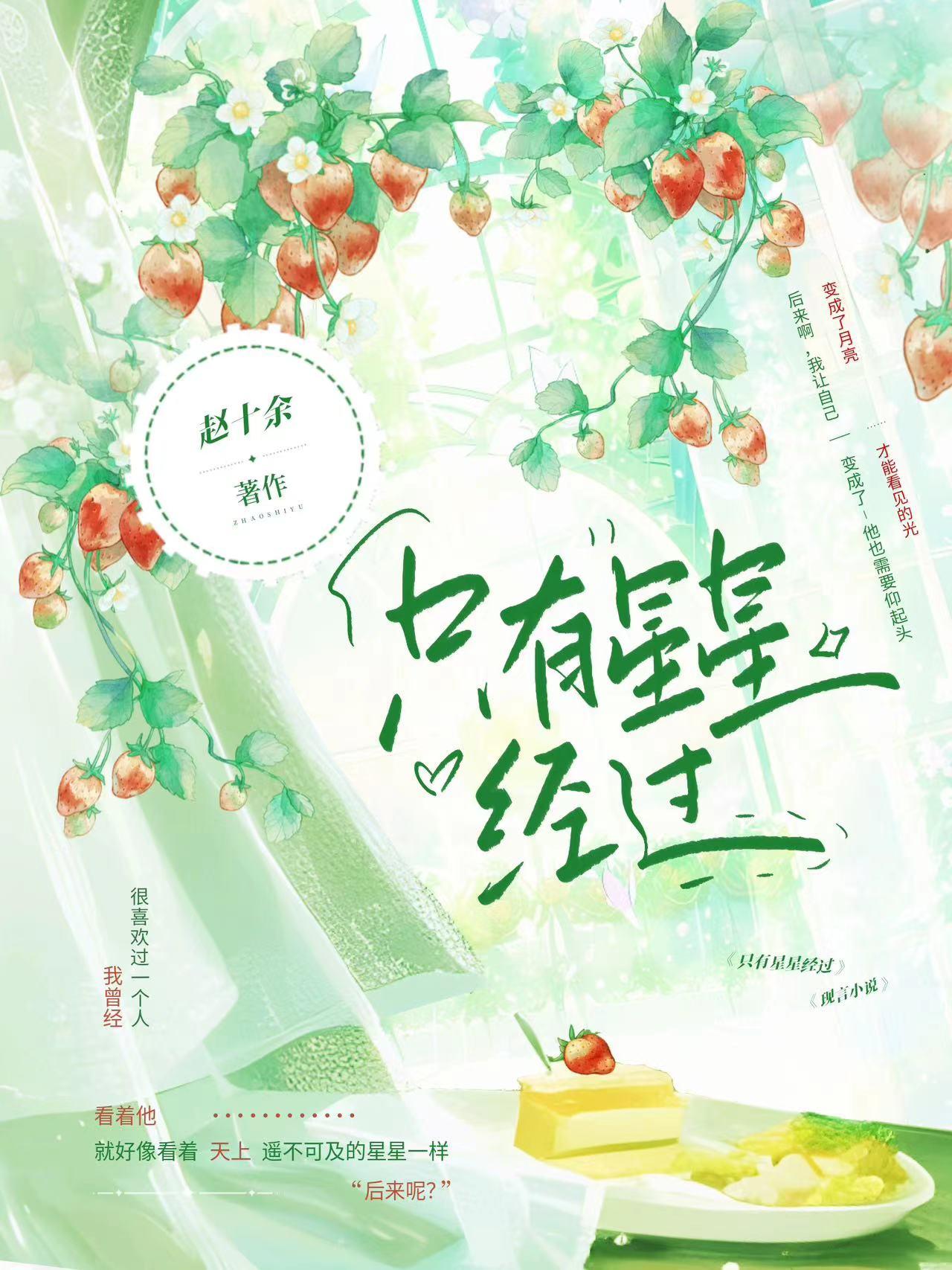 只有星星经过全文阅读