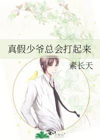 真假少爷总会打起来讲的什么