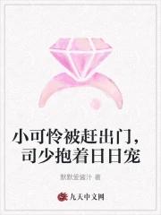 司少抱着日日宠大概内容