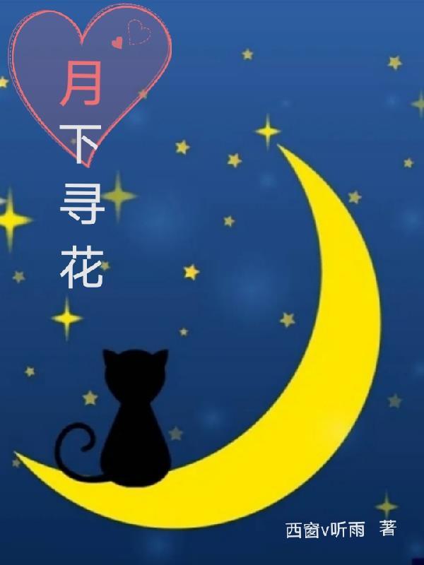 月下寻梅剧透