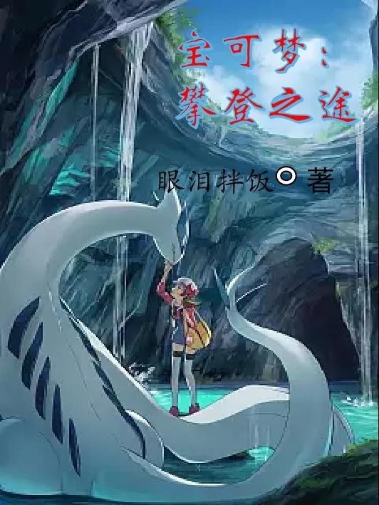 宝可梦攀登之途列表