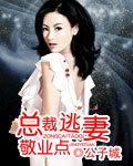总裁的逃妻