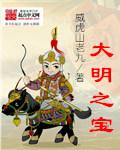 大明之宝箱系统免费全文