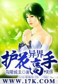 异界护花高手 乌陵城主 免费