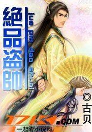 极品盗客弃