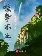 唯争不止免费阅读