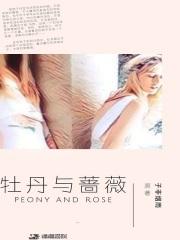 牡丹与蔷薇日本剧