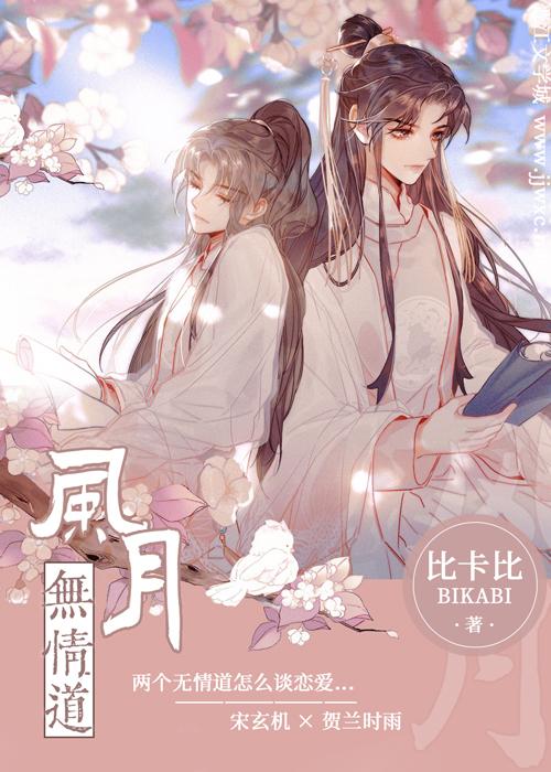 风月无情道卧龙