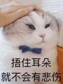 恶毒炮灰向导只想退婚by