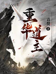 重华道主怎么不更了