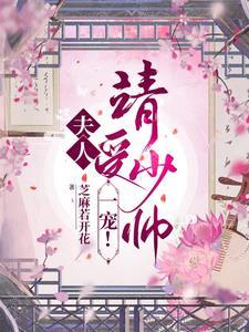 夫人请受少帅一宠