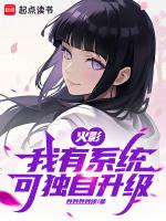 火影我有一个空间系统