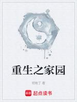 重生之重建家园