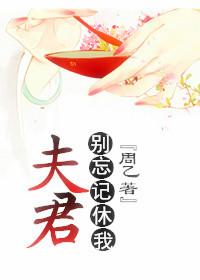 夫君别忘记休我免费阅读