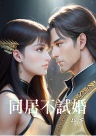 同居不同房txt