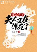 夫人又在打官司笔趣阁