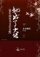重生到穿书文后女配她成了大佬 有声
