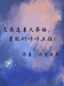 总裁 追妻火葬场的甜文