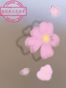 综影视之旁观不清
