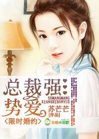 限时婚宠总裁追妻路漫漫