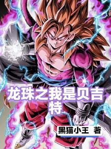 龙珠之我是贝吉特 岛山明