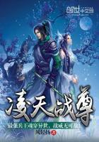 凌天战尊百科
