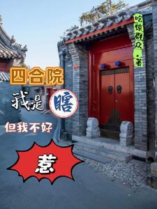 四合院成了傻柱