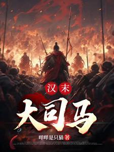 西汉大司马大将军