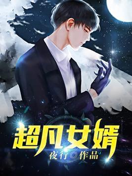 超凡女婿百度百科