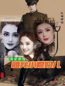 将军家的小媳妇382章