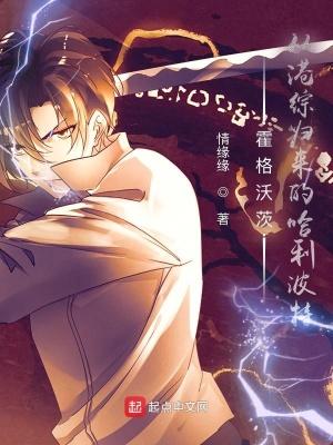 霍格沃茨从猎魔人归来的哈利