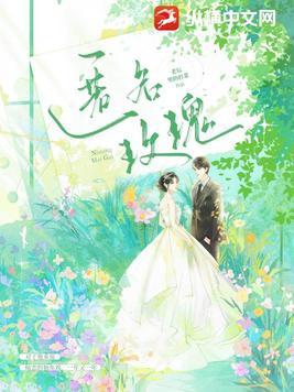 匿名玫瑰周乔笔趣阁