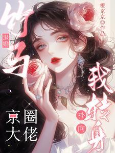 竹马退婚我转身扑向京圈大佬乔舒意盛聿