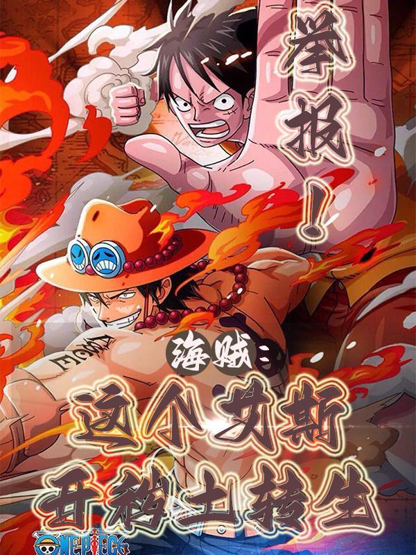 海贼王艾斯吧