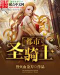都市圣骑士笔趣阁在线阅读
