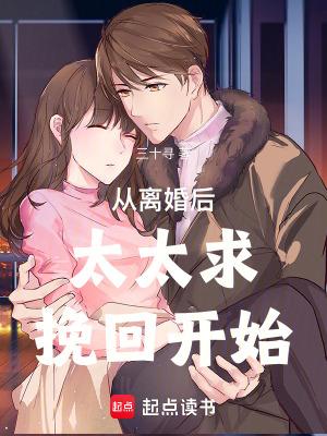 从离婚后开始的文