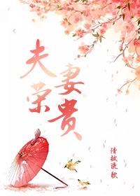 夫荣妻贵短剧一口气看完系列