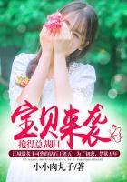 抱得总裁归 聚合中文网