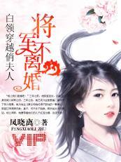 白领穿越俏夫人将军不离婚 凤晓离