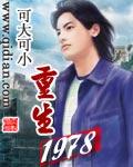 重生1978可大可小