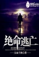 绝命逃亡2电影免费观看
