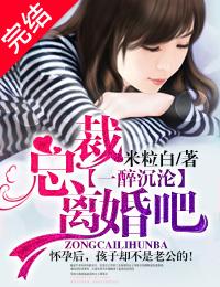 总裁离婚吧单译林言