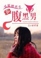 小狐狸的