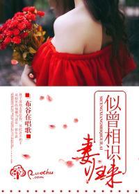 似曾相识人归来