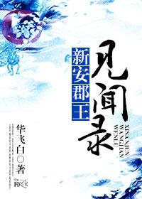 新安郡王见闻录华飞白
