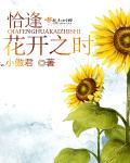 恰逢花开时短剧免费观看