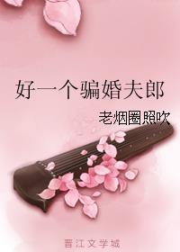 好一个骗婚夫郎52书库